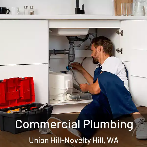  Commercial Plumbing Union Hill-Novelty Hill, WA