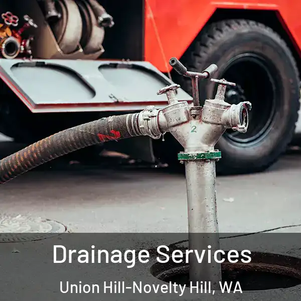  Drainage Services Union Hill-Novelty Hill, WA