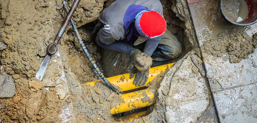 Clogged Drain Repair in Union Hill-Novelty Hill, WA