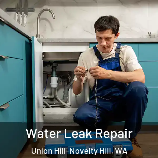  Water Leak Repair Union Hill-Novelty Hill, WA